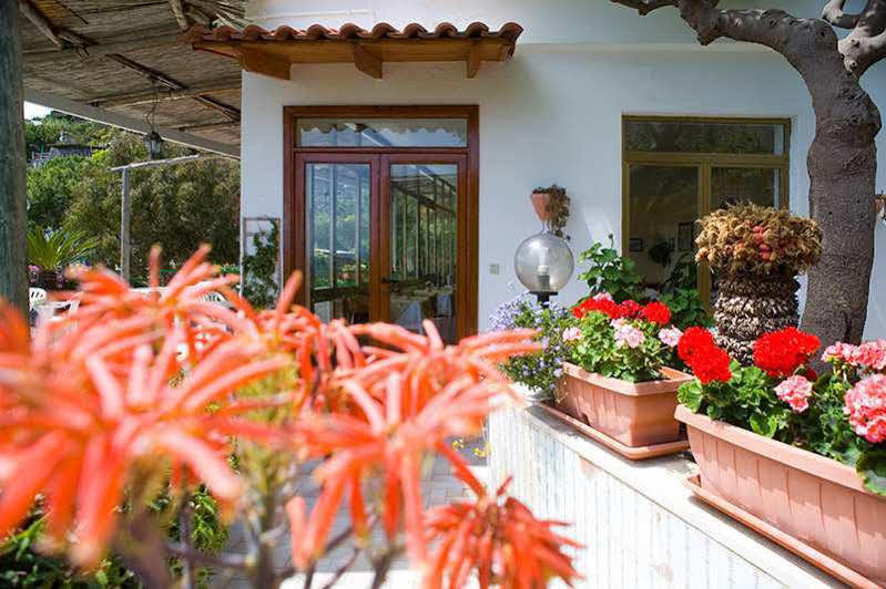 Hotel Villa Franz Sant'Angelo  Dış mekan fotoğraf